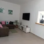 Falcon Tinajo