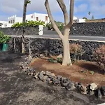 Falcón Tinajo