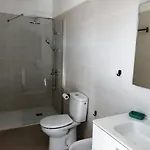 Falcón Tinajo