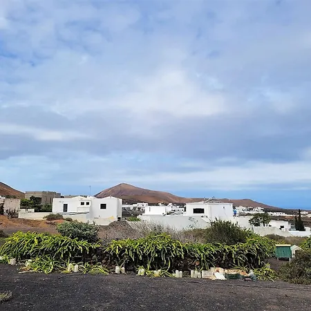 Falcón Tinajo